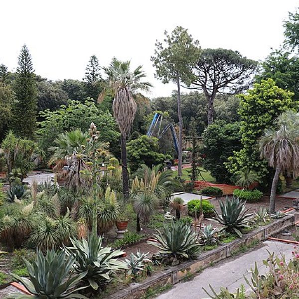 By Centro MUSA, CC BY-SA 3.0